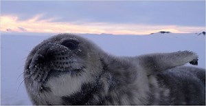 One Life (2011) | ČSFD.cz