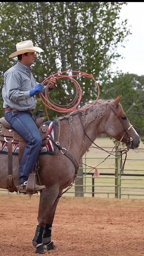 @briggsperformancehorses ᗩᖇᑕᕼIᗴ = ᖴᗩᑎᑕYYY #teamroping #roping #horsemanship - - - 𝗔𝗻𝗴𝗶𝗲𝘀 𝗠𝗲𝘁𝗮𝗹𝗹𝗶𝗰 𝗧𝗶𝗺𝗲 | ᴏᴡɴᴇᴅ ʙʏ ᴍᴇʟɪɴᴅᴀ ᴍᴀʏᴇs-ᴋᴇʟʟʏ 𝘖𝘱𝘦𝘯 & 𝘐𝘯𝘵𝘦𝘳𝘮𝘦𝘥𝘪𝘢𝘵𝘦 𝘏𝘦𝘢𝘥𝘪𝘯𝘨 𝘸𝘪𝘵𝘩 𝘽𝙧𝙮𝙘𝙚 𝘽𝙧𝙞𝙜𝙜𝙨 𝘢𝘵 𝘵𝘩𝘦 𝟤𝟢𝟤𝟤 𝘈𝘮𝘦𝘳𝘪𝘤𝘢𝘯 𝘙𝘰𝘱𝘦 𝘏𝘰𝘳𝘴𝘦 𝘍𝘶𝘵𝘶𝘳𝘪𝘵𝘺 𝘈𝘴𝘴𝘰𝘤𝘪𝘢𝘵𝘪𝘰𝘯 𝘊𝘩𝘢𝘮𝘱𝘪𝘰𝘯𝘴𝘩𝘪𝘱 𝘚𝘩𝘰𝘸 #teamroper#ropingdummiestexas #cowboylifestyle #rodeo #cowboy #horses #ranching #farm #ranch #rodeolife #headhorse #heelhorse #quart