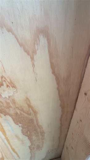 DIY natural roach extermination! | Ceith Griffith