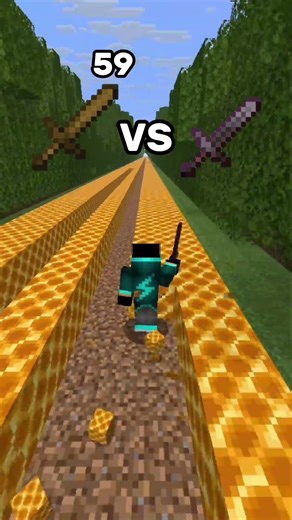 wooden sword vs netherite sword vs Honeycomb in Minecraft 🍯