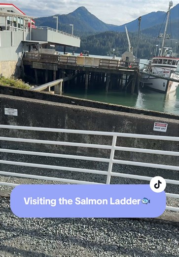Exploring the Salmon Ladder in Alaska