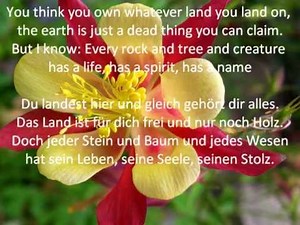 Colours of the Wind (Pocahontas) - karaoke instrumental - original english+german lyrics