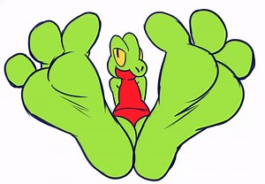 Treecko Feets on Make a GIF