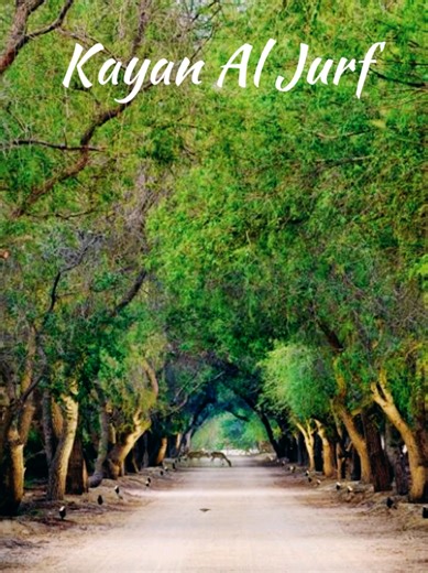 Find your dream home in Kayan today! From modern Rawya Villas to tranquil Rihal Villas, experience luxury living in perfect harmony with nature. #belgraviarealestate #kayancommunity #dubairealestate #abudhabi #aljurf