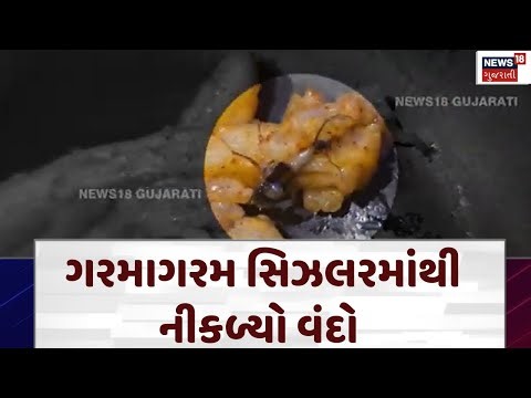 Valsad News | ગરમાગરમ સિઝલરમાંથી નીકળ્યો વંદો | Burger | Insect in Food | Food Safety | N18V