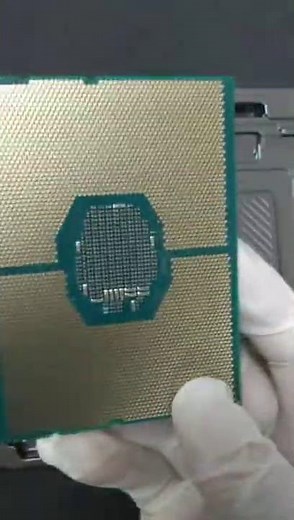Intel Xeon Gold 6234 Processor 8 Core 3.30GHZ CPU