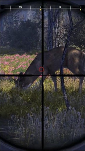 Perfect Hearth Shot to Whitetail Deer |Cabela's Big Game Hunter Pro Hunts