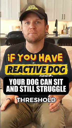 Your Reactive Dog’s Threshold Matters More Than a Perfect Sit