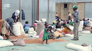 Farmers heading back?