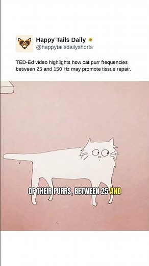 TED-Ed video highlights how cat purr frequencies between 25 and 150 Hz may promote tissue repair.