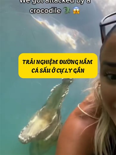 Khám Phá Đường Hầm Cá Sấu Tại Miami