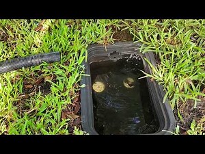 How to Identify, Locate, and Repair a Broken Water Line