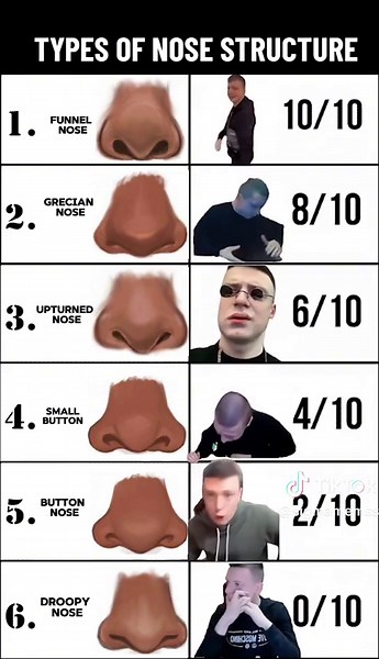 Different Types of Nose Structure