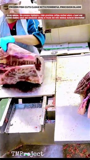 Extreme Meat Cutting Tool: Smart Frozen Salmon Precision Cutting