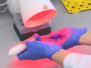 Constitutive and Inducible Systems for Genetic In Vivo Modification of Mouse Hepatocytes Using Hydrodynamic Tail Vein Injection