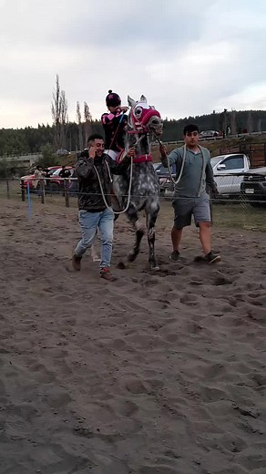 carreras_a_la_chilena #brujo❤️ #anto🐎 #viral