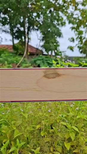 Creative Woodworking Tricks for Your Next Project