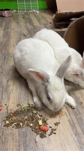 Understanding Insurance Coverage for Uncertain Situations