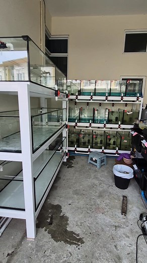 เติมของเข้าบ้านอีก 1 ชุด Vtg Story ขอบคุณค่ะ 📍สมุทรปราการ | ปฏิภาณ พูญทัศน์ แกะ ตู้ปลา