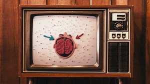 8 Mindful Documentaries Every Yogi Should See — Shut Up & Yoga