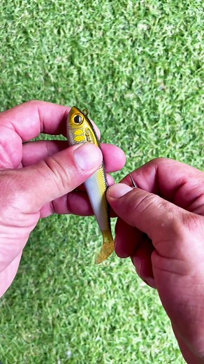 How to switch the tail on your spooltek lure. This a really cool lure because it releases a metal leader to try and keep the tail from getting damage but they give you two tails in this pack. #fishinghowto #fishingtutorial #howto #tutorial #fishingfyp #urbanfloridafishing #spooltek #swimbait #spoolteklures #fishinglure #cooledits😎🔥 #ceooffishingedits #videodepesca #freshwaterfishing #saltwaterfishing