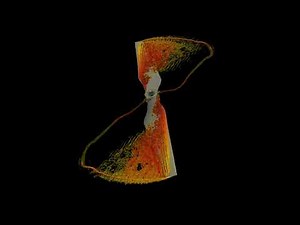 Direct numerical simulation (DNS) of a starting rotor (2025)