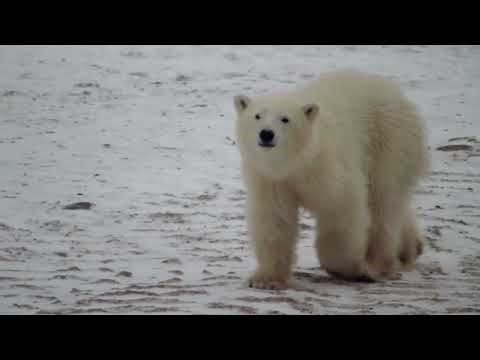 QUIZ TIME! 🤩 Test Your Canadian Geography Knowledge!&