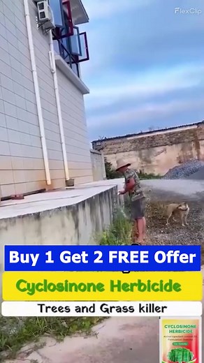 237K views · 3.1K reactions | Take control of weeds with Cyclosinone Herbicide Granules  Powerful 5% active ingredient delivers efficient coverage—easy to apply, low toxicity formula for safe handling. Get long-lasting protection for lawns, gardens & fields. Limited time: Buy 1 Get 1 FREE!  | The Big Market | Facebook