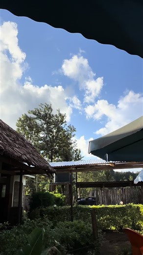 Learn Crypto Trading Strategies from an Experienced Trader