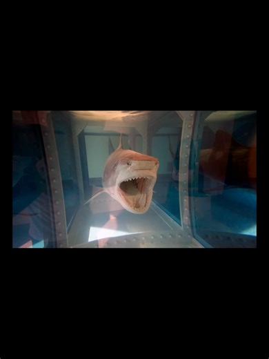 Damien Hirst'in Ölüm ve Sanat Üzerine Soruları