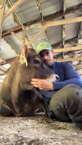 Draconblue on Instagram