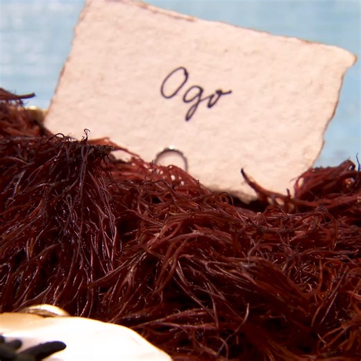 27K views · 132 reactions | And we'd say it's a home run! ⚾️ | MasterChef Junior | Facebook