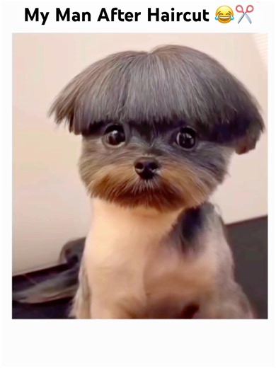 Relatable guys?? 😂🤣✂️ #couple #trending #love #shorts #youtubeshorts #viral #subcribe#video