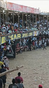 Toros de Lidia | Medardo Enrrique Plaza