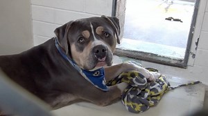 6.6K views · 165 reactions | RESCUED - moved to SAFE Album on 06/20...