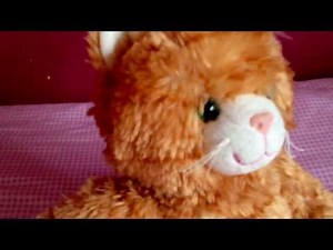 Build a Bear Collection - Bears, Smallfrys and Minis - BearLolz