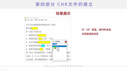 epidata chk文件的建立#数据库