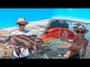 Spearfishing monster Boar fish | Remote Free Camp | catch and cook | WA | S1E12