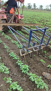 छोटे ट्रेक्टर से डोरे चलाने का काम 👌 #agriculture #villagelife # #peanut #farming #farmlife | D farming