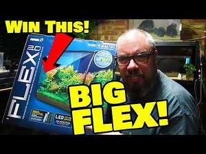 Aquascaping the New Fluval Flex 2.0 Aquarium & Aquarium Giveaway!