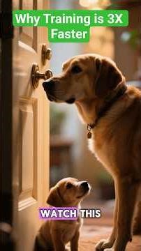 Why Training is 3X Faster With a Second Dog 🐕🐕