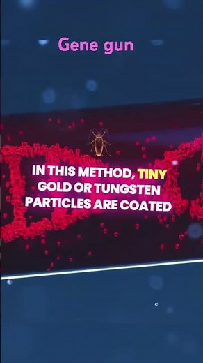 Firing DNA into cells – The Gene Gun Method in Action!#ctet #nvs #htet #dsssb #pgtbiology #tgtbio#