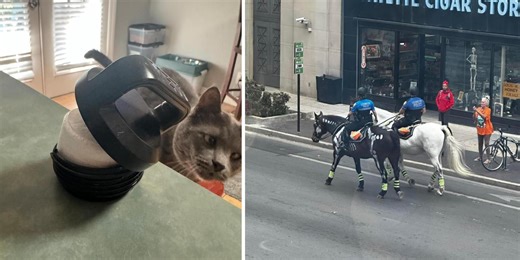 29 'Mildly Interesting' Things That Are Worth Perusing Today