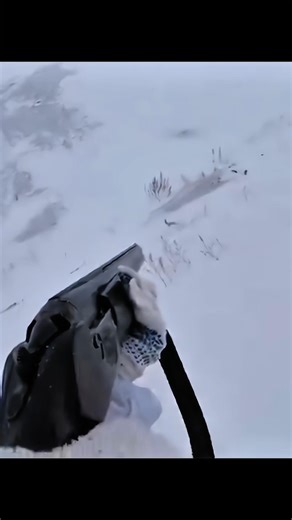 Охота на снежного кролика ❄️ | Лучший выстрел на очень дальних дистанциях#chasse #hunting #rabbit