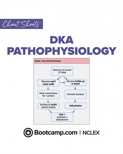 🩸 DKA Pathophysiology NCLEX Review | NCLEX Bootcamp Cheat Sheet