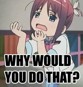 Why Would You Do That ? | Know Your Meme