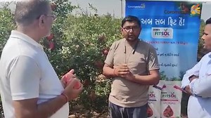 794K views · 1.9K reactions | A unique 100% water-soluble fertiliser...