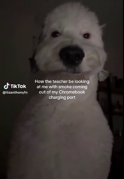 Creative Chromebook Hacks for School Success