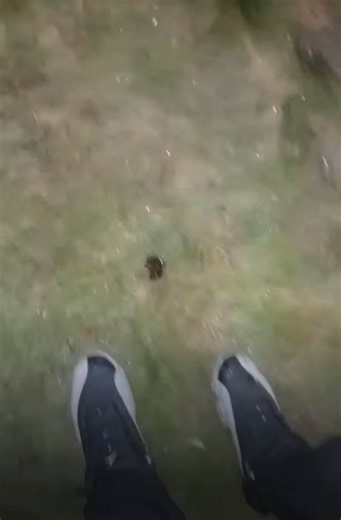 Brawl breaks out in Eastpointe in the middle of Gratiot near Our Bar early Friday morning. Female ends up getting hit by a vehicle at the end of the video. | Scanner of Warren