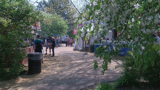 126th annual Lilac Festival kicks off Friday with new security measures in place